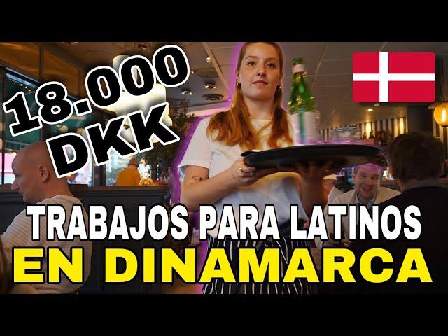 Dinamarca te NECESITA  Estos son Los Trabajos en Dinamarca  que Hacen los LATINOS | Top 5