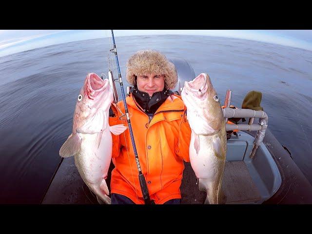 ЗАВАЛИЛИ ЛОДКУ РЫБОЙ в Баренцевом море / FILLED UP THE BOAT WITH FISH in the Barents Sea