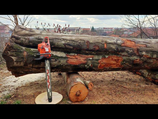 Husqvarna 385xp - "the forgotten chainsaw" !!!