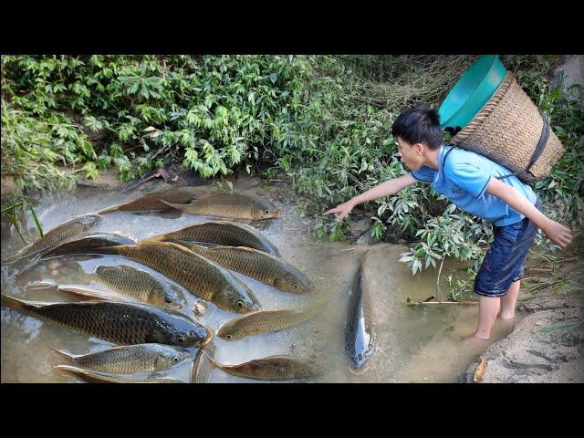 Found a pool full of stranded fish after the flood. Orphan Nam's joy when he catches fish to sell