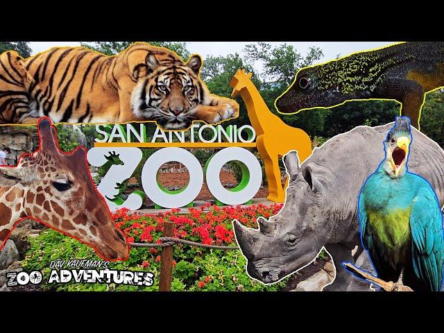 SAN ANTONIO ZOO TOUR! Reptile House, Aquarium, Rhinos, and more!