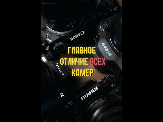 Душа Кадра: Что Вы Упускаете?