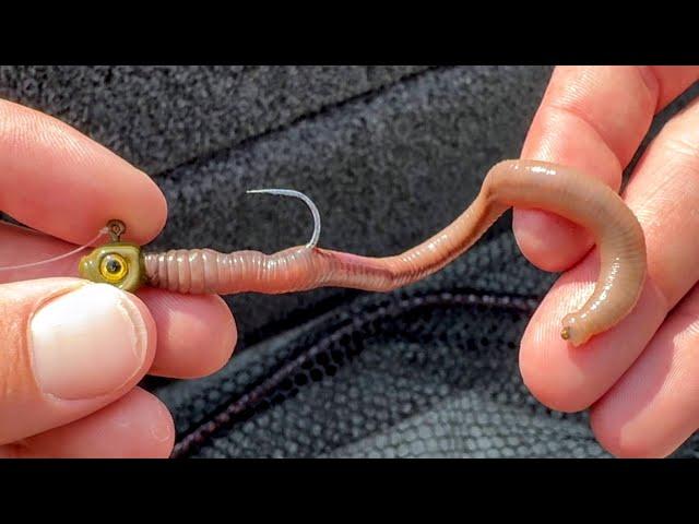 How to Properly Hook a Worm (Nightcrawler Rigging Perfection)