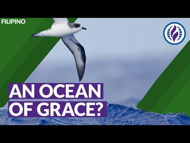 An Ocean of Grace? A "Progressive" Perspective