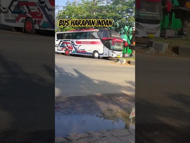 PENDATANG BARU‼️BUS HARAPAN INDAH BANDA ACEH-MEDAN #busmaniaindonesia