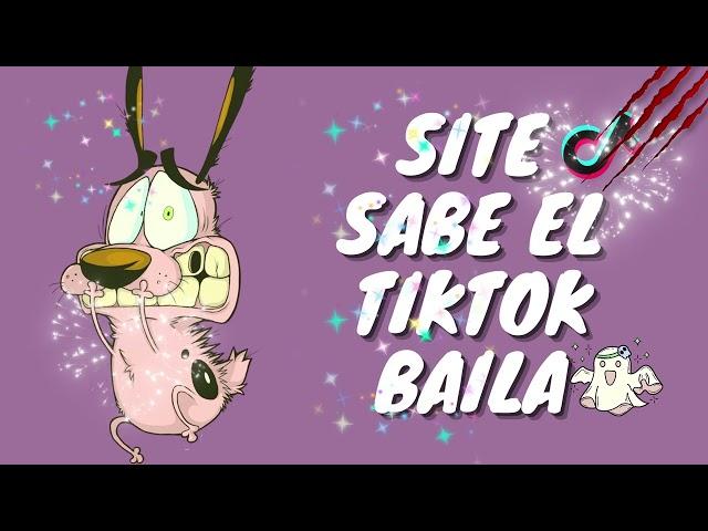 SI TE SABES EL TIKTOK BAILA! - 2024