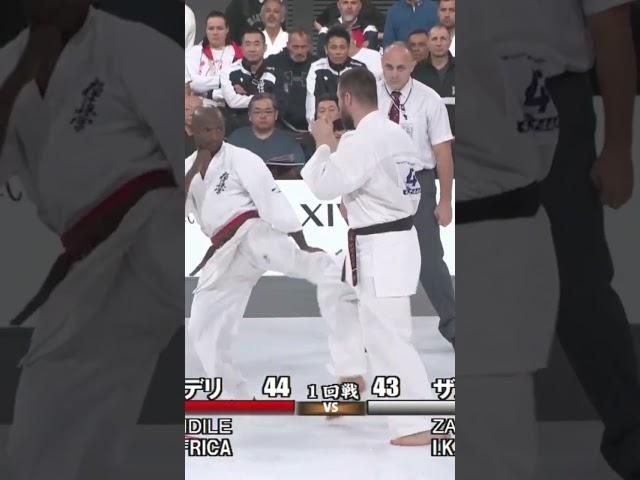 13 абсолютный чемпионат Мира киокушинкай каратэ Zagainov Igor