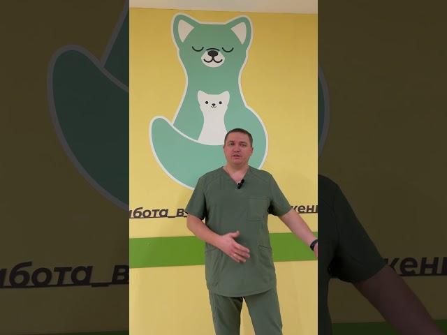 Габдрахманов Динар Рустамович