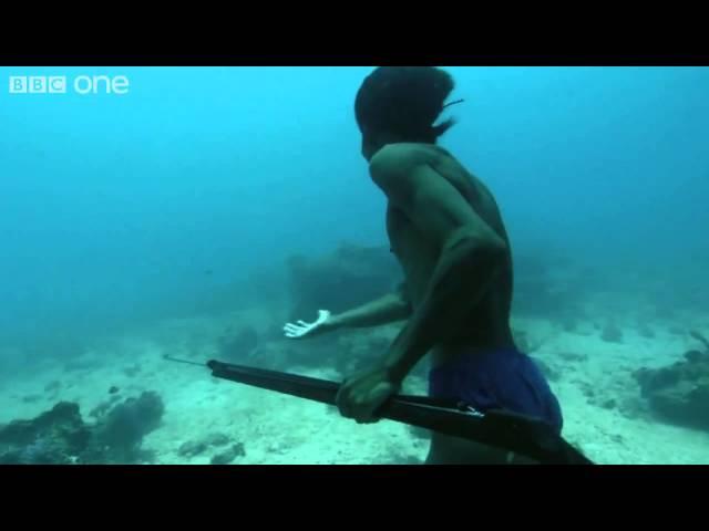 ‪Superhuman Filipino diver from the Badjao tribe ;BBC