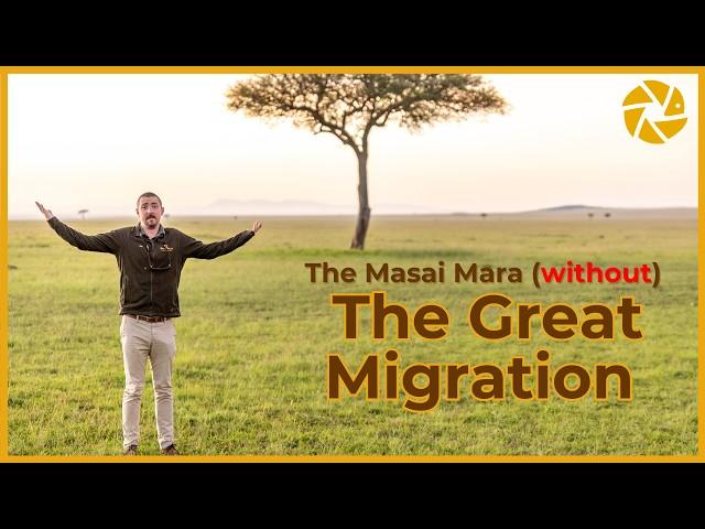 Should you visit The Masai Mara without The Migration?