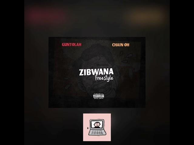 Guntolah x Chain Oh _ ZIBWANA FREESTYLE (Visualizer)