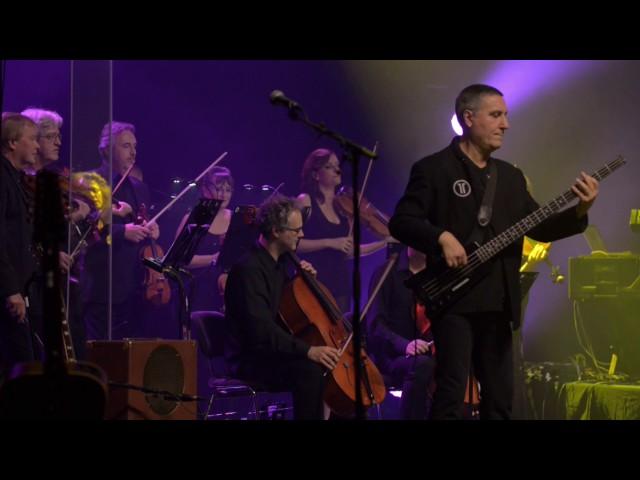 MACHIAVEL FETE SES 40 ANS AVEC L'ORCW - Concert de clôture - LIVE - (POP-ROCK)