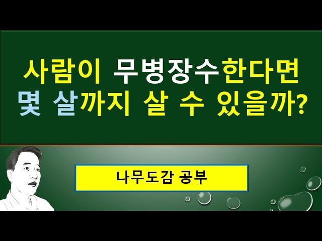 소나무잎과 잣나무의 열매에 얽힌 재미있는 전설 : 무병장수한다면 몇 살까지 살 수 있을까? :  256세 최장수 어른의 장수비결