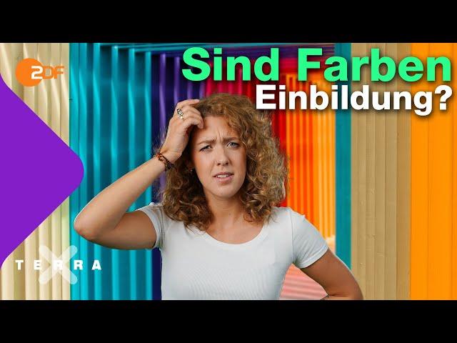 Darum sind Farben eine Interpretation des Gehirns | Terra X plus