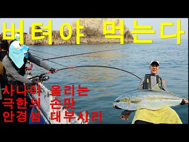 It's the taste of your hands! Geoje Glasses Island Kingfish Ship Lilchi Fishing #Euratchachahongdo