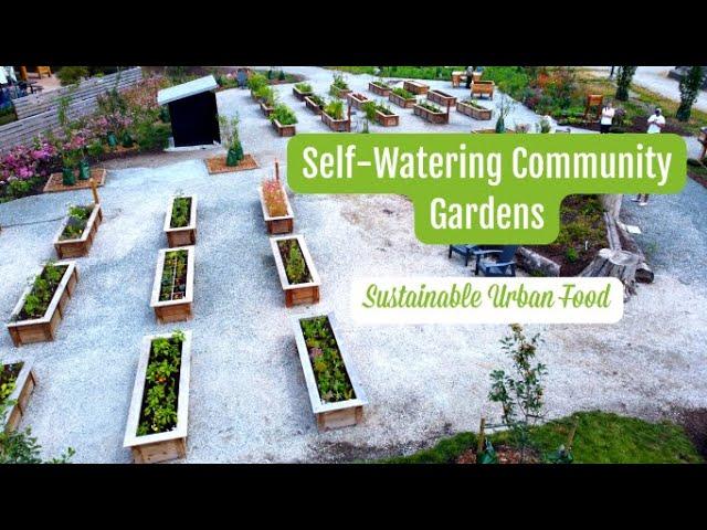 Self-Watering Community Gardens in New Westminster