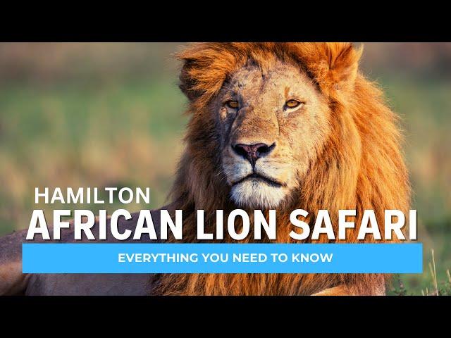 African Lion Safari: Our Journey in Hamilton, Ontario