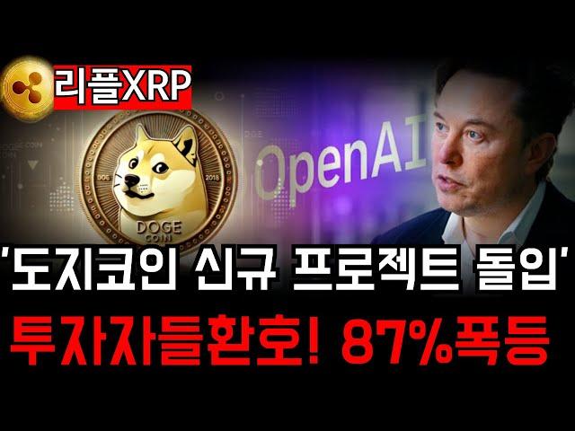 일론 머스크, 도지코인 신규 프로젝트 발표… 300% 폭등!?