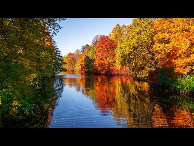 Dmitriy Pavlov Autumn №3