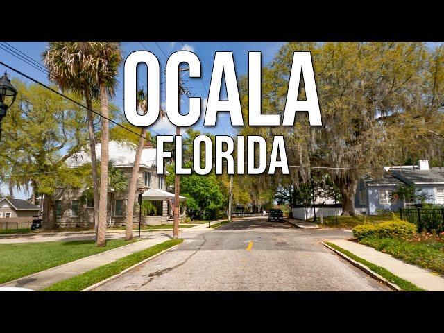 What It's REALLY Like To Live In Ocala Florida? Pros And Cons Of Ocala