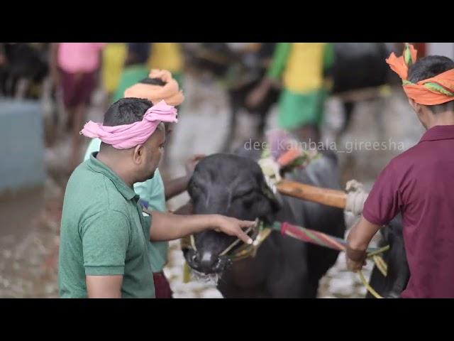 ಕುದಿ ಕಂಬಳ