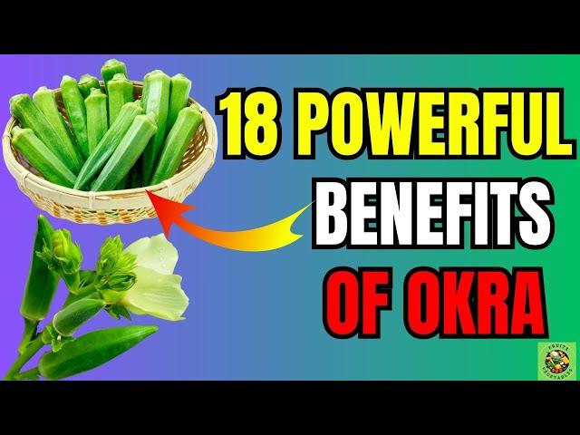 Benefit Of Okra - Why Okra is The Secret to a Healthier You