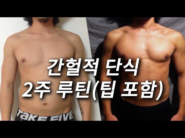 2주만에 간헐적 단식 효과 보는 방법 (+실수 방지 팁)