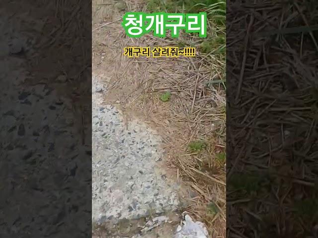 오늘에주인공 #청개구리  #봉숭아학당 #최고  #문화혁신학교 #렌토tv