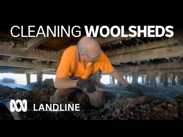 Clearing woolshed sheep poo is a dirty job with some surprising perks   | Landline | ABC Australia