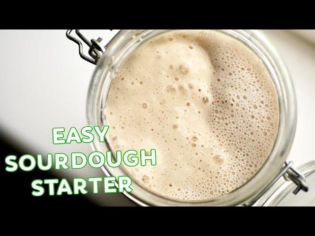 Easy Sourdough Starter Recipe | Make a Wild Yeast Starter at Home
