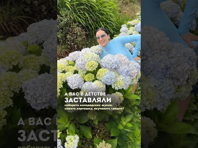 А вас в детстве заставляли работать на огороде?#дом #огород #грядки #семья #лето