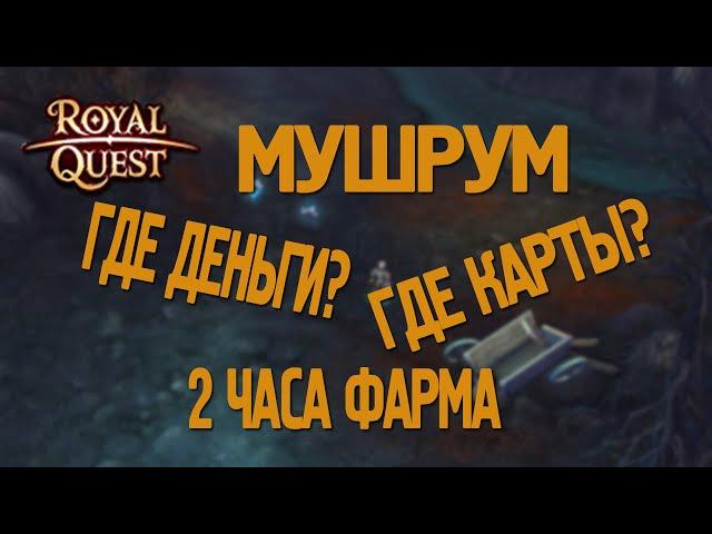 Royal Quest - #10/2 часа фарма/Мушрум