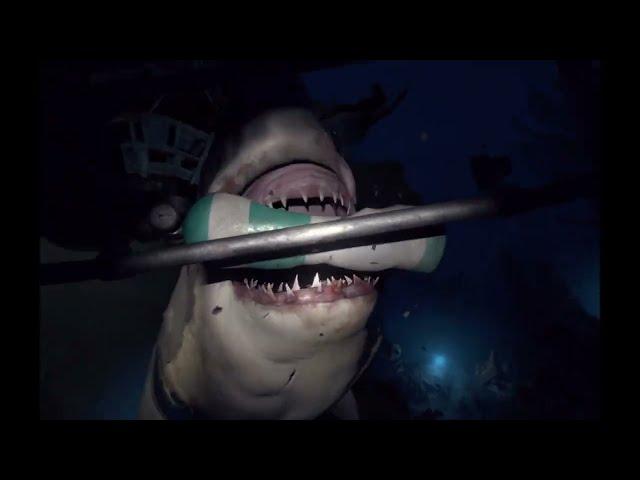 Ocean Dive - Shark Encounter - First Experience PSVR