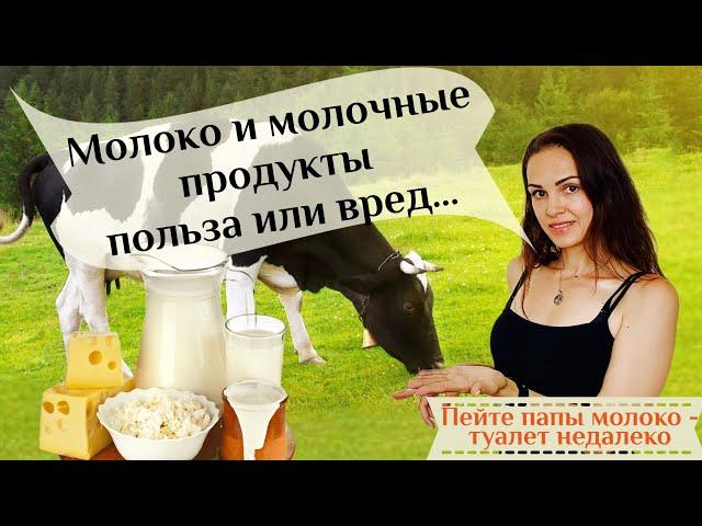Молоко и молочные продукты