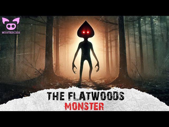 The Flatwoods Monster