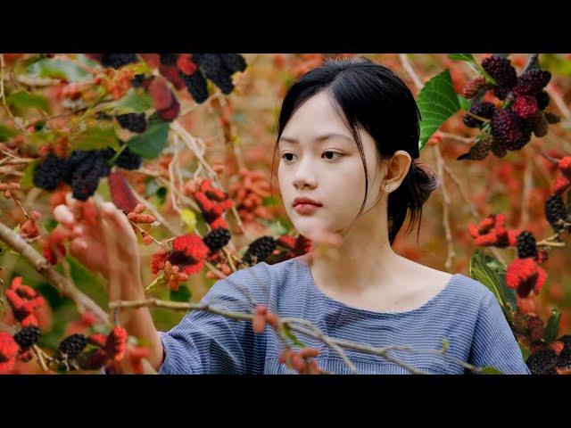 Lâm Anh Harvests Mulberries In The Garden, Cooking Summer Fish Soup | Nguyễn Lâm Anh