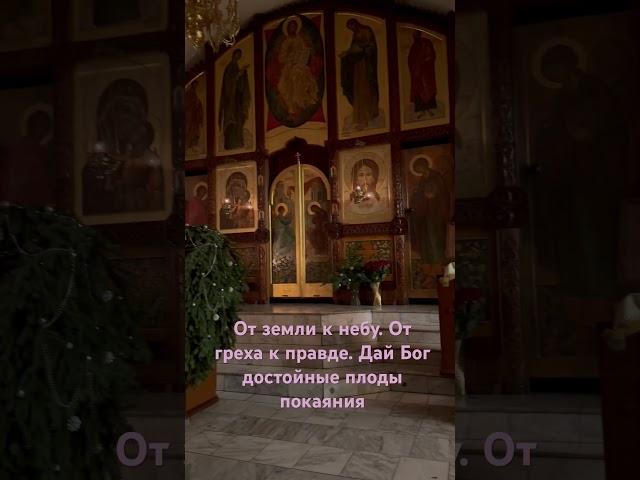 Дай Бог #сибирь #собор #церковь #молитва #плодпокаяния #вера #добро #правда #исправление #надежда