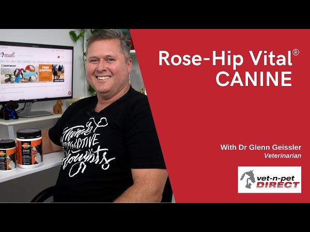 How Can Rose-Hip Canine Help Your Dog?