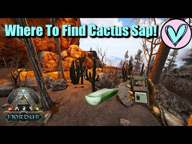 Where To Find Cactus Sap! || Ark Fjordur!