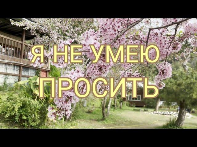 Я не умею просить