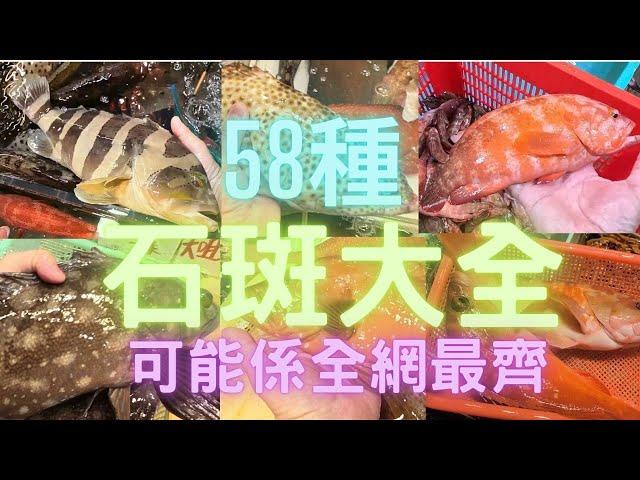 石斑總結大全(鮨科 ),全網最多最齊,睇下大家認得幾多?~fishcutting香港海鮮~社長遊街市Seafood