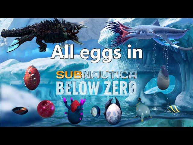 All creature eggs in Subnautica Below zero + hatching