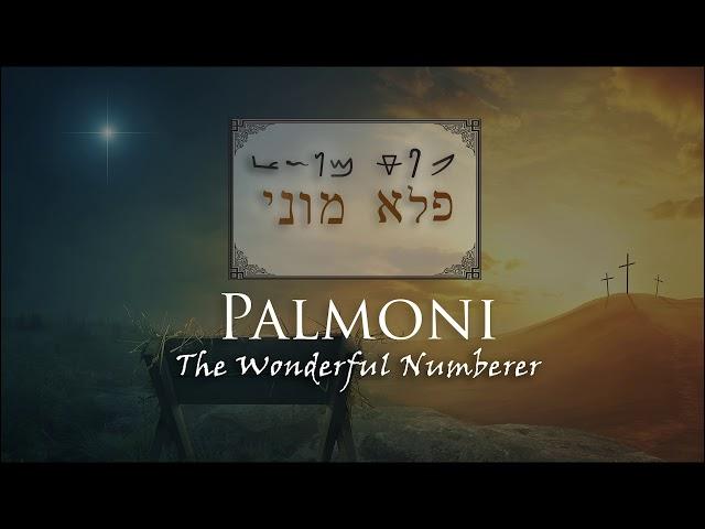 Palmoni: The Wonderful Numberer