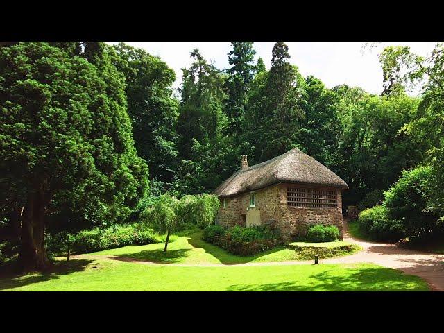 Cockington Country Park Walk, English Countryside 4K