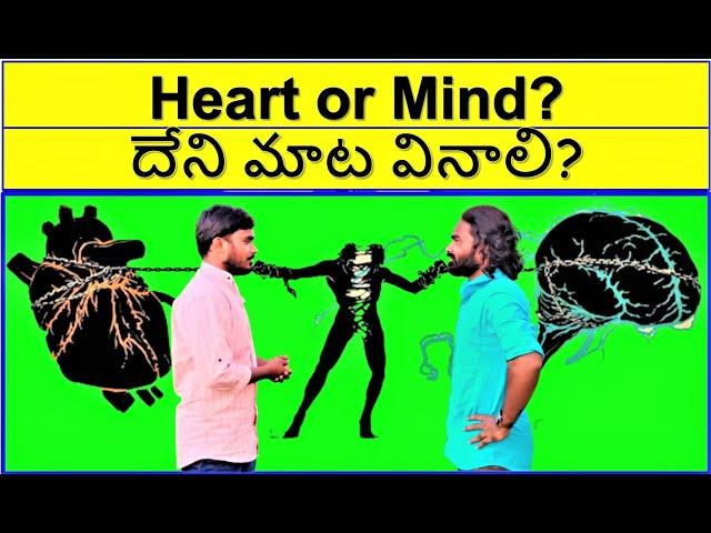 Heart or Mind What to Follow? | Mende Suresh