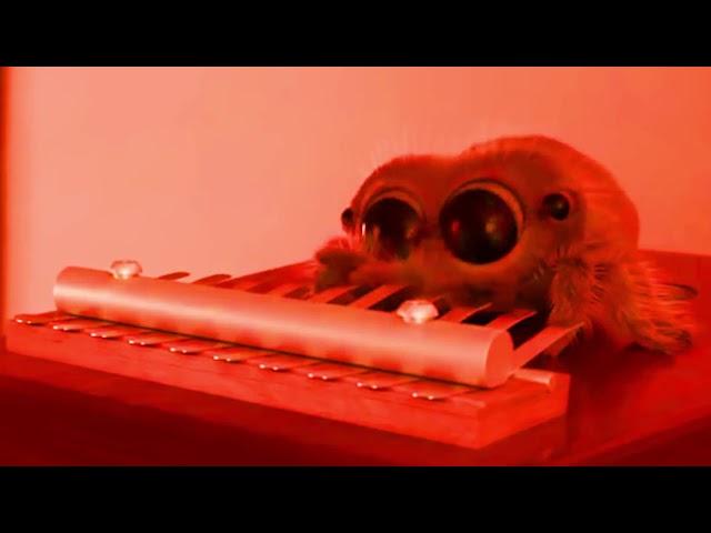 Lucas The Spider plays dubstep | funny parody video