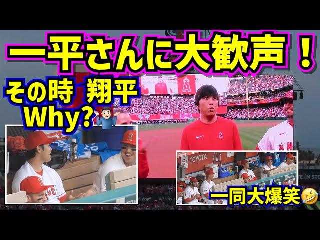 開幕セレモニーで一平さんに大歓声‼️その時大谷がWhy?ダグアウト大爆笑【現地映像】4/7vsブルージェイズ ShoheiOhtani Angels