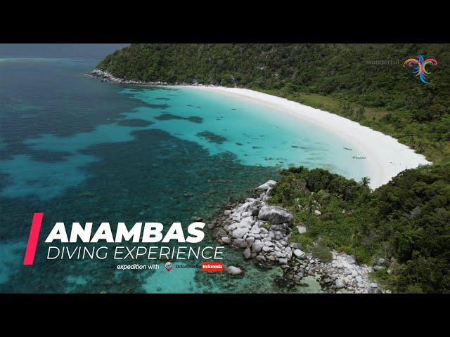 Anambas Diving Experience