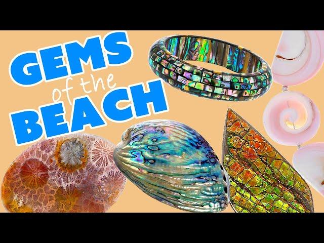 Gems of the Beach - Abalone Ammolite Coral Conch Pearl & More!