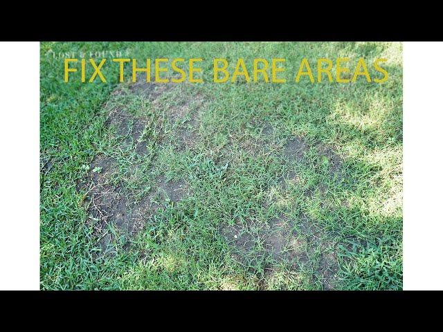 How to Fill in Thin and Bare Areas in Your Lawn (St. Augustine grass) Florida